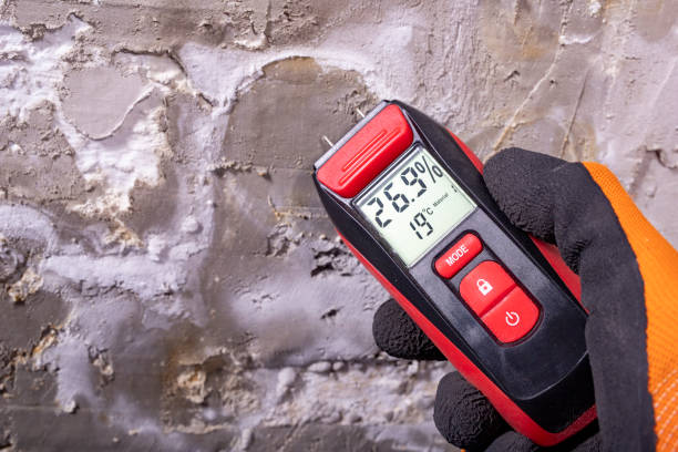Best DIY Mold Remediation Support Services in Bardonia, NY
