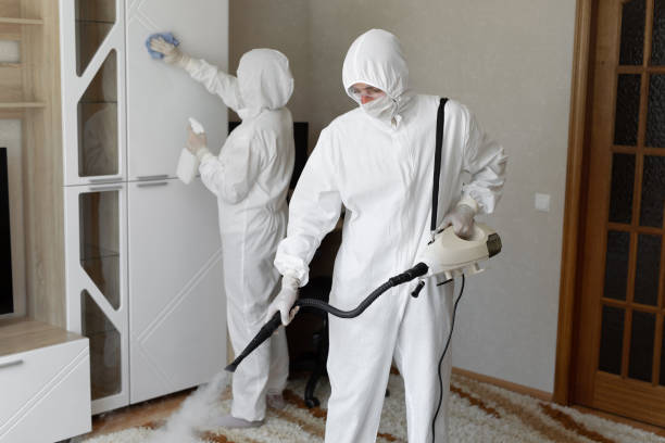 Best Industrial Mold Remediation in Bardonia, NY